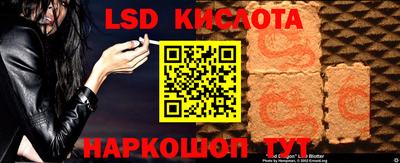 шишки Шелехов