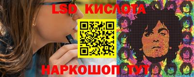 СК Шебекино