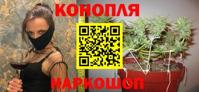 СК Шебекино