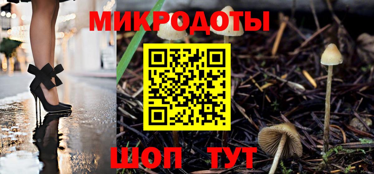 Псилоцибиновые грибы ЛСД  Псилоцибиновые грибы MAGIC MUSHROOMS  Большой Камень  Вход с VPN 